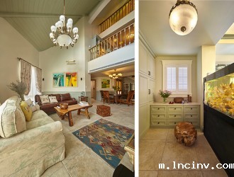 混血游记,童趣萌生